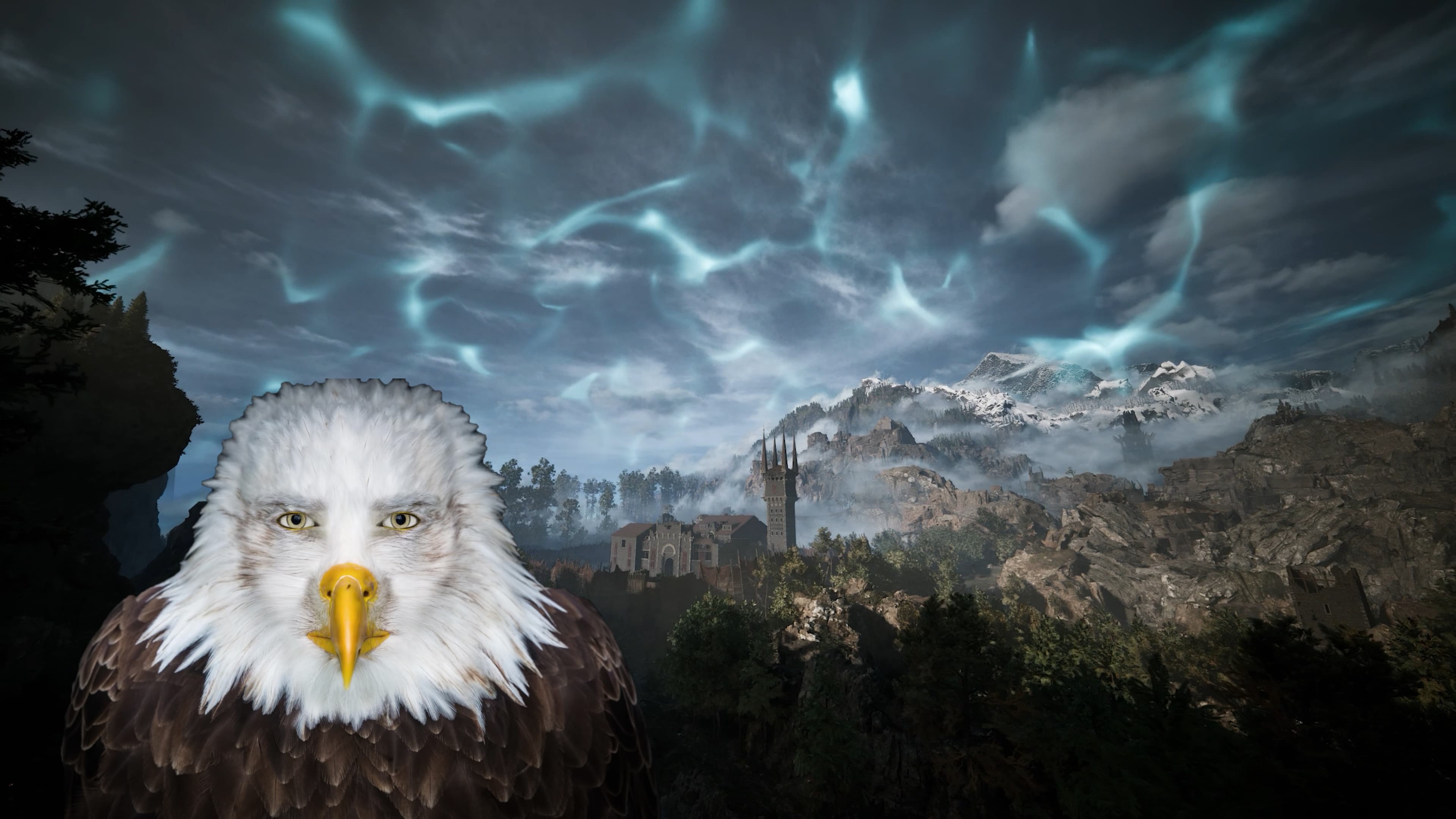 handsome staring eagle